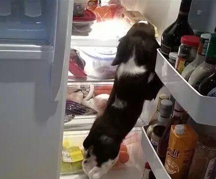 这个头等舱你抢不走,你无法夺走的尊贵体验